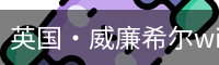 英国·威廉希尔williamhill(中国)-官方网站